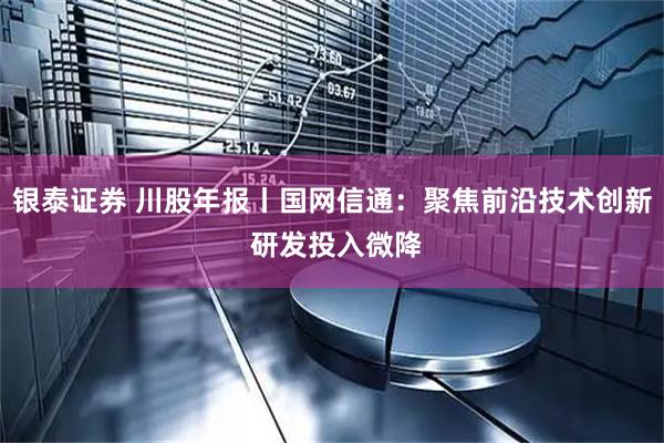 银泰证券 川股年报丨国网信通：聚焦前沿技术创新 研发投入微降
