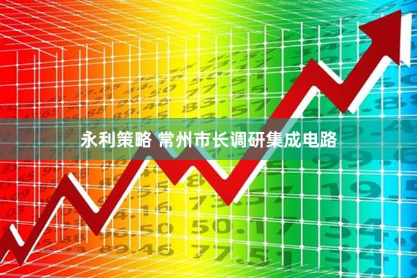 永利策略 常州市长调研集成电路