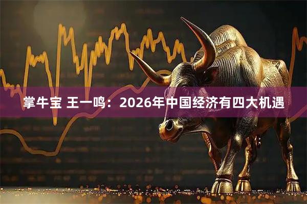 掌牛宝 王一鸣：2026年中国经济有四大机遇